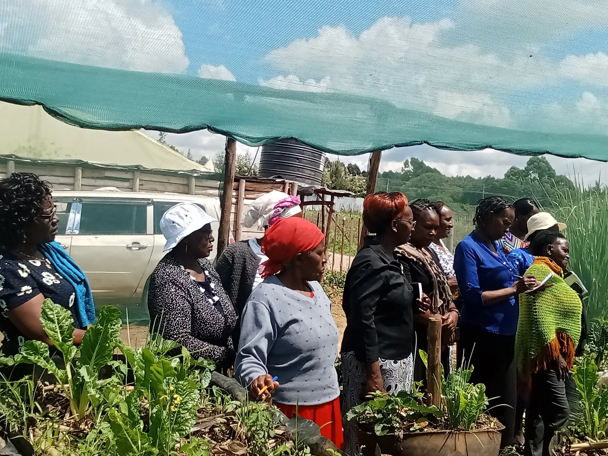 Ekocity Farming Alliance - Farmer Field Day
